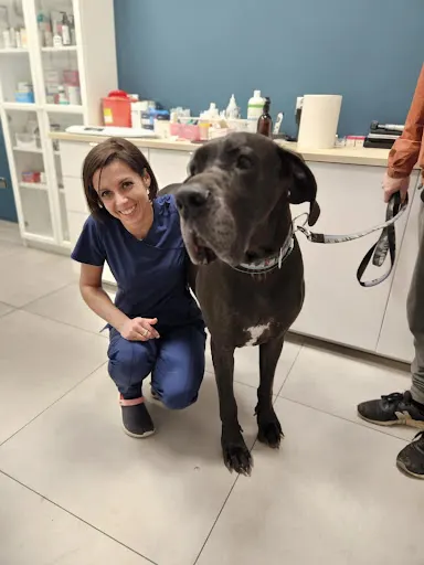 Przychodnia Weterynaryjna Vet Complex Daria Łukasik